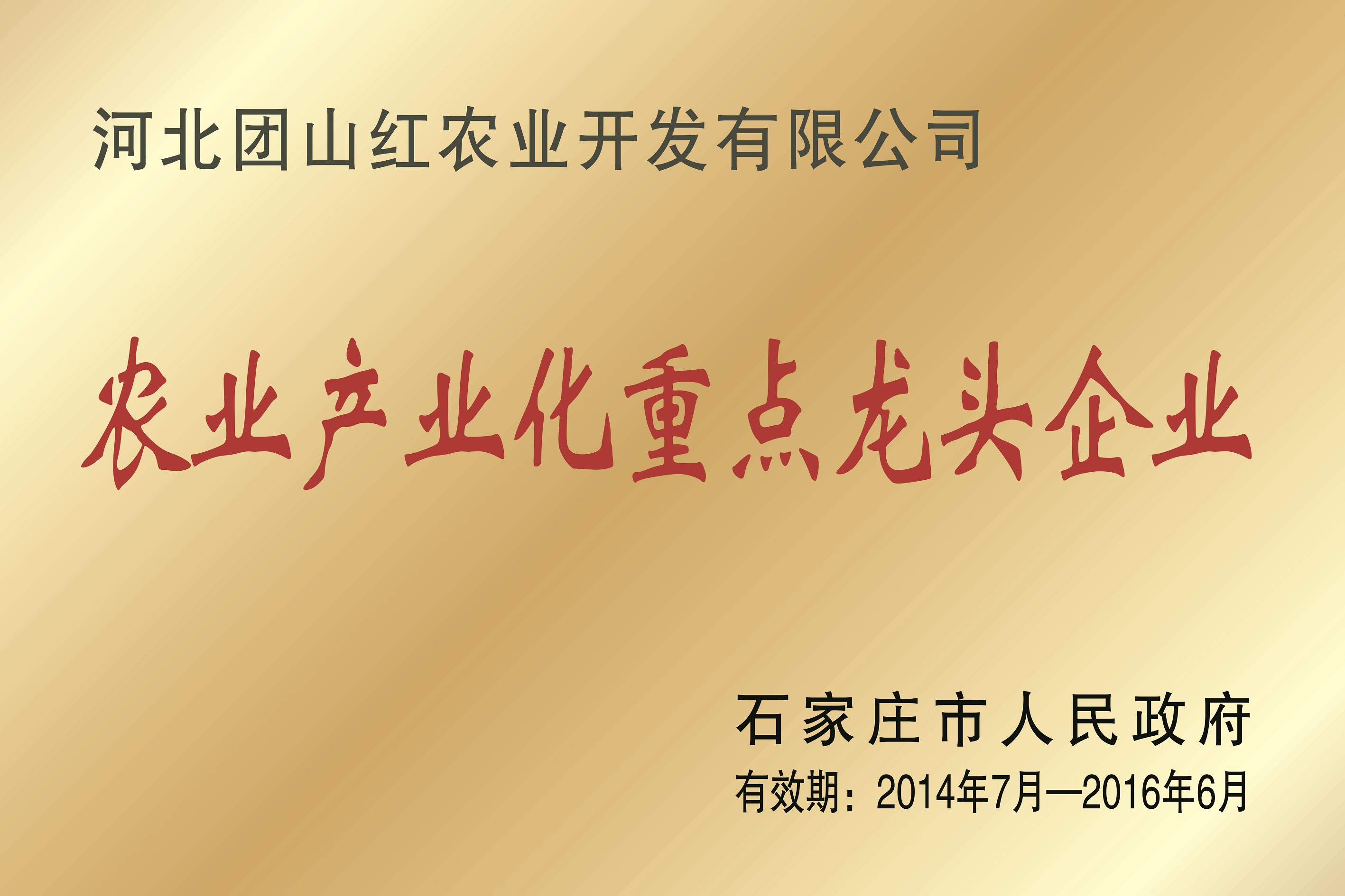 農業(yè)產(chǎn)業(yè)化重點龍頭企業(yè)